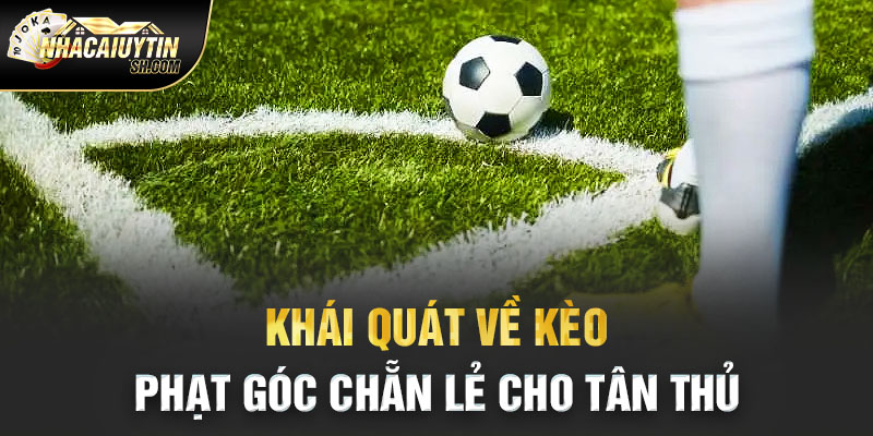  Khái quát về kèo phạt góc chẵn lẻ cho tân thủ