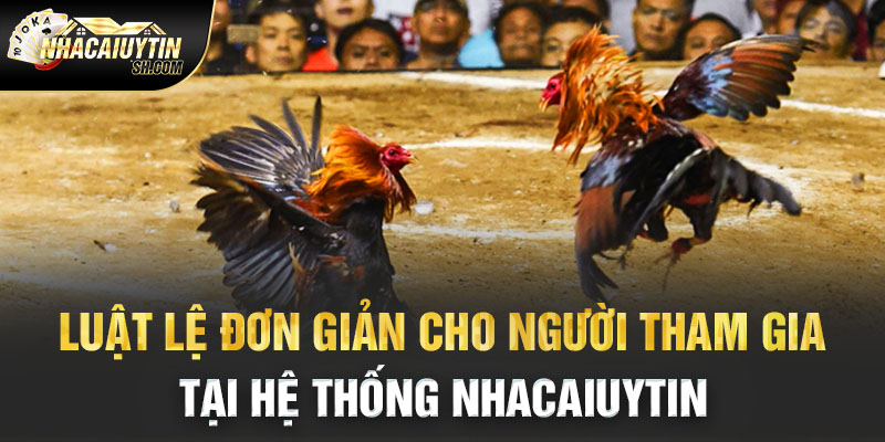 Luật lệ đơn giản cho người tham gia tại hệ thống Nhacaiuytin