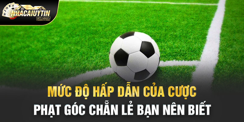 Mức độ hấp dẫn của cược phạt góc chẵn lẻ bạn nên biết