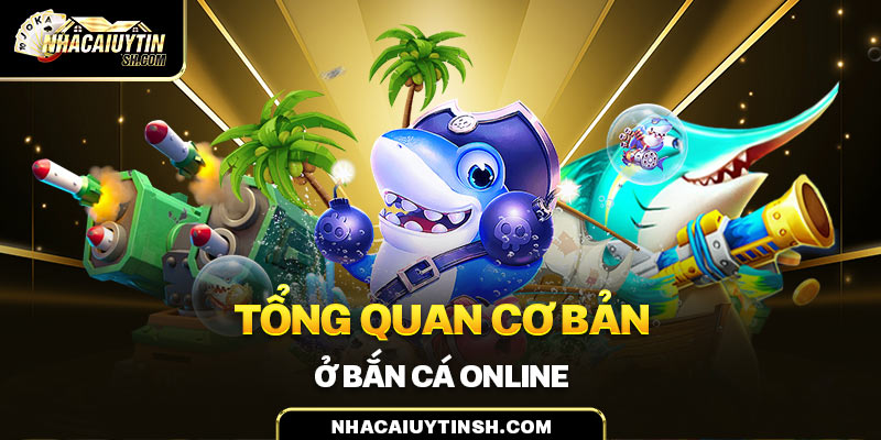 Tổng quan cơ bản ở bắn cá online